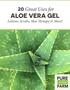 20 Great Uses for ALOE VERA GEL. Lotions, Scrubs, Skin Threapy & More!