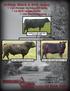 Annual Bull Sale. Selling: Black & Red Angus 120 Forage Developed Bulls 14 Red Angus Bulls 100 Bred Females. Thursday, November 12, 2015 Valier, MT