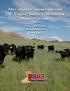 The Complete Angus Dispersal DR Angus, Sidney, Montana. Private Treaty Sale of Cow/Calf Pairs Bred Heifers Herd Bull