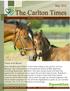 The Carlton Times. May Equestrian