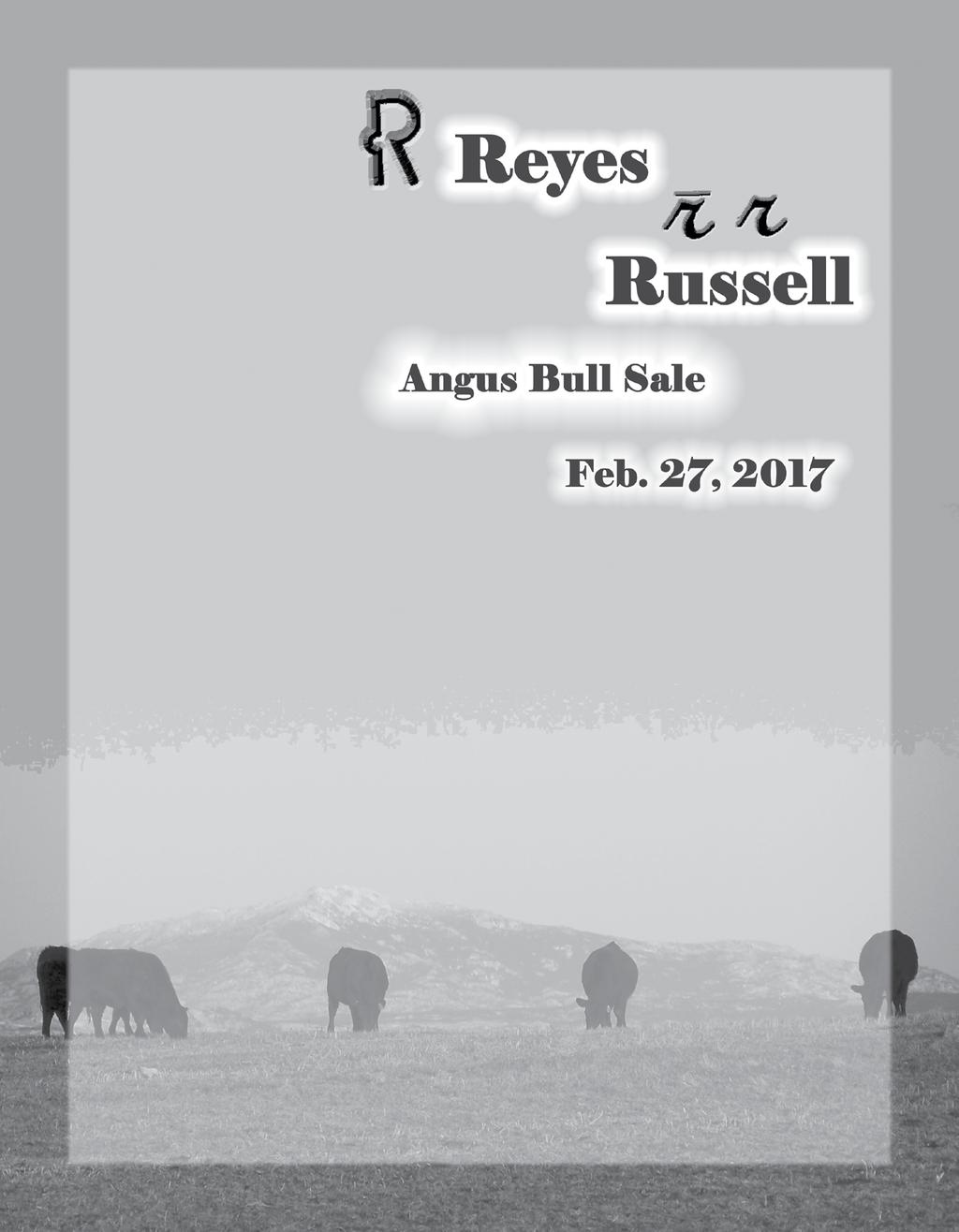 General Information: Sale Location: Sale will be held at the Reyes Ranch located 6 miles south of Wheatland on I-25, take Exit 73 west 1.5 miles to junction 312, then one mile north to MR Angus Ranch.