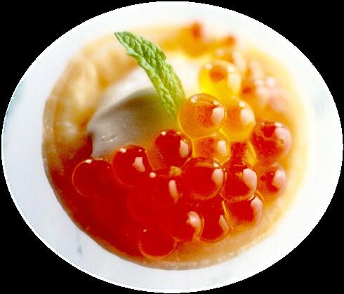 SALMON S CAVIAR EXTRACT Luxurious Skin Care Ingredient: rich in Omega-3, vitamins, nucleic acid, and minerals combination of proteins, low glycemic carbohydrates, and essential fatty acids The Art of