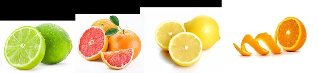 Plantasens Serums range (Aby, Avo, Camelina, Grape, Lemon, Lime, Oat, Orange, Pink Grapefruit) Plantasens Serums are lipophilic complexes based on essential nutriments (Omega 3, 6 or 9),