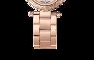 rose gold PVD case Polished steel and rose gold PVD stainless steel