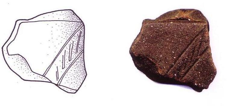 The assemblage contains a number of decorated sherds that can be assigned to the LBA/EIA transition or what is sometimes referred to as the `earliest` Iron Age.