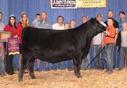 PVF Proven Queen 2108 This proven NJAS Division Champion is the dam of Lot 18. P V F 5 2 5 0 Retaining 1/2 embryo interest.