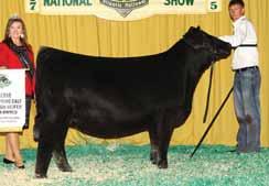 THE PROVEN QUEEN COW FAMILY PVF Proven Queen 4014 This many times champion is a full sister to Lots 19, 20 & 21.