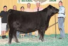 74 - - - - These two fancy July born flush sisters are backed by the proven and powerful Blackbird cow family that has earned much success for the PVF program.