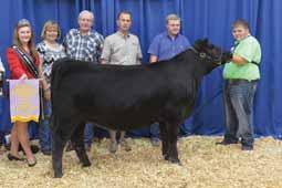 Two full sisters sold as highlights in 2015 and include the $18,000 PVF Hazel 4155 and the $16,000 PVF Hazel 4154, a female who went on to be shown quite successfully by Logan Boyd and was named