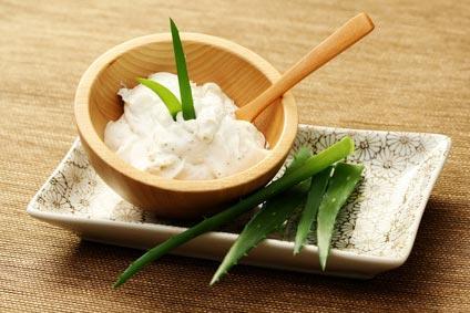 ALOE VERA THE MOST REGENERATIVE PLANT Aloe vera is one of the most powerful plants to exist in the cosmetics sector.