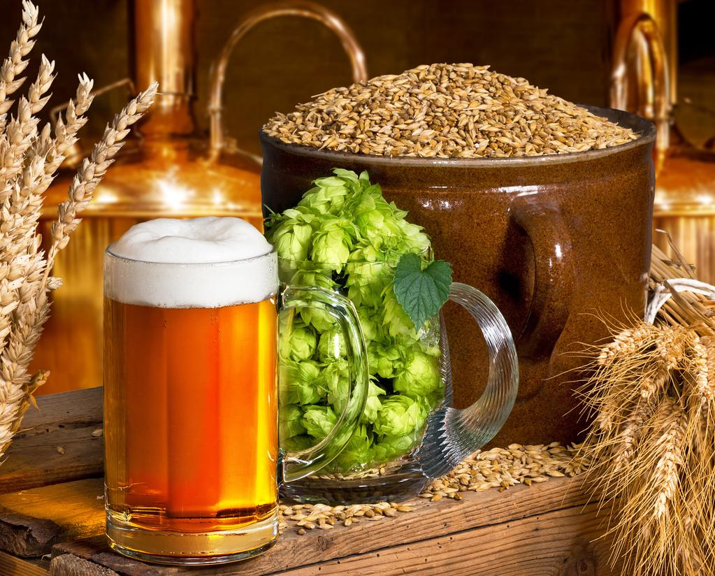 BIRRA In questa categoria si possono trovare tutti i prodotti necessari per curare la fase finale della produzione della birra.