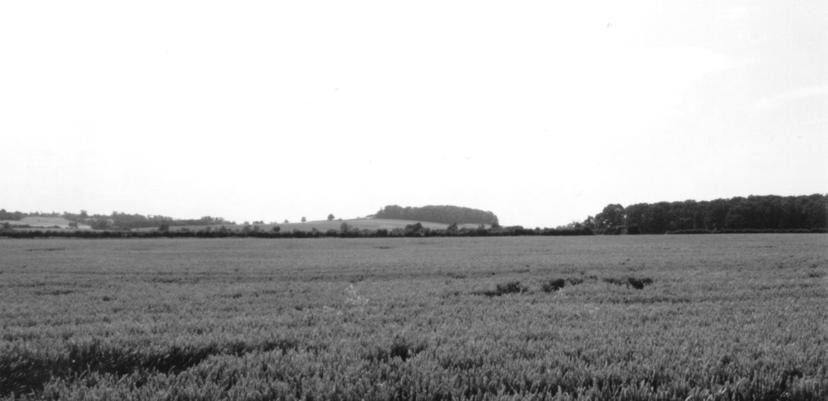 Fig. 6. View of the prominent Loveden Hill from the low ground to the north-west where discoveries suggest the presence of early Anglo-Saxon settlements.
