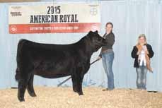 Fair Owned by Brittany Eagleburger OBCC Sadie 15ZB 2015 Reserve