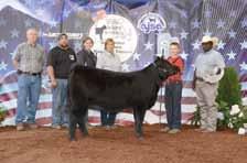 Division Winner $150 Reserve Division Winner $100 Class Winner STATE EXPO/OTHER STATE FAIR JR SHOWS $300