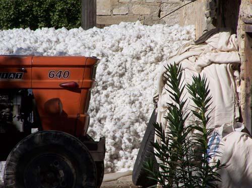 24 million tons of raw cotton were harvested in 2012 compared with 1.05 million tons in the previous year (target for 2013 at least 1.05 million tons).