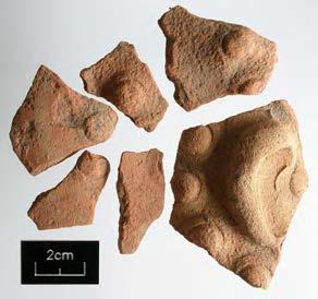 York Archaeological Trust 77 Fragments, including part of an ear from a head pit (Contexts 1666,1822 and 1948) A small group of pottery from fill 2054 included a BB1 jar with the rim wider than girth