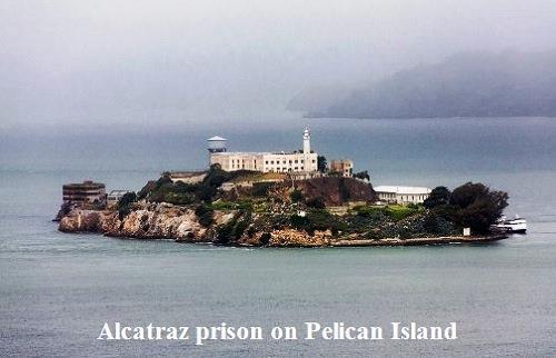 After Reading, Please return this copy so others may enjoy The Brothers of Pelican Island Pelican Island located in San Francisco Bay, California Please return