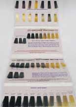 haircolors would be taught 63 The American Board of Certified Haircolorists provides a do it yourself color chart.