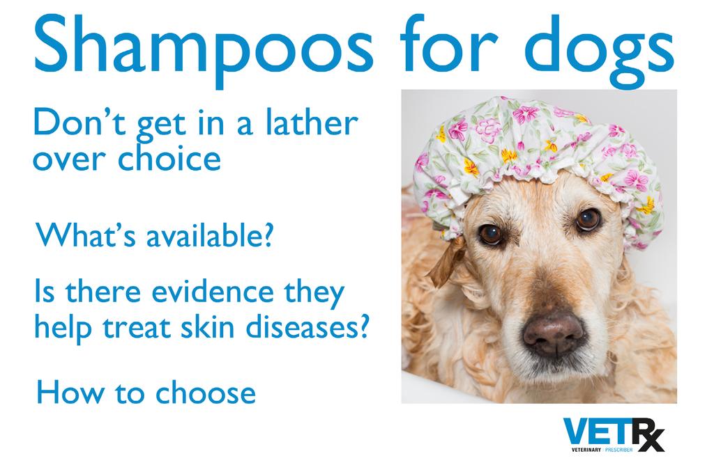 February 2015 veterinaryprescriber@gmail.com www.veterinaryprescriber.com Contents What s in shampoos?