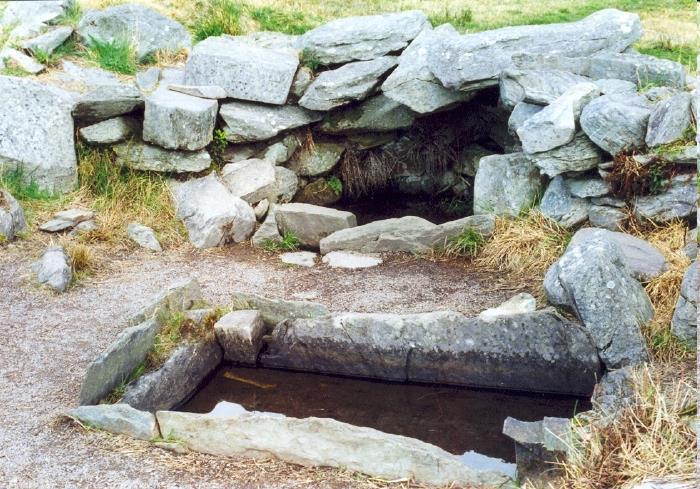 Food Farming important for most Celts. Cattle, sheep and pigs kept. Meat consumed and skin used for clothes. Made dairy products. Under Brehon Law, wealth was measured in cattle.