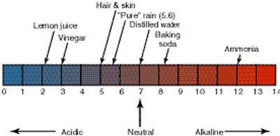 THE ph SCALE Potential hydrogen in a solution ph levels Acid 0 to 6.