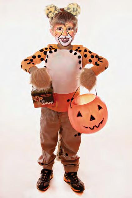 Big Cat Costumes Dress like a lion, lynx, or cheetah this Halloween and Trick-or-Treat for Big Cats! It s easy to make these simple costumes.
