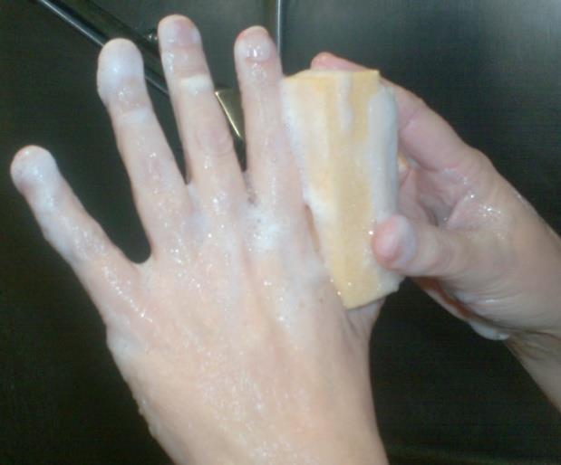 Step Two: Water based hand scrub Wet sponge and squeeze to work up lather.