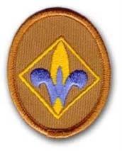 BADGES OF RANK BOBCAT BADGE A diamond-shaped cloth badge, gold and black embroidered on light blue background with gold trim. Worn on the left pocket, in the 12 o'clock position.