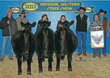 Grand Champion Pen of Heifers Alhberg 2014 NWSS