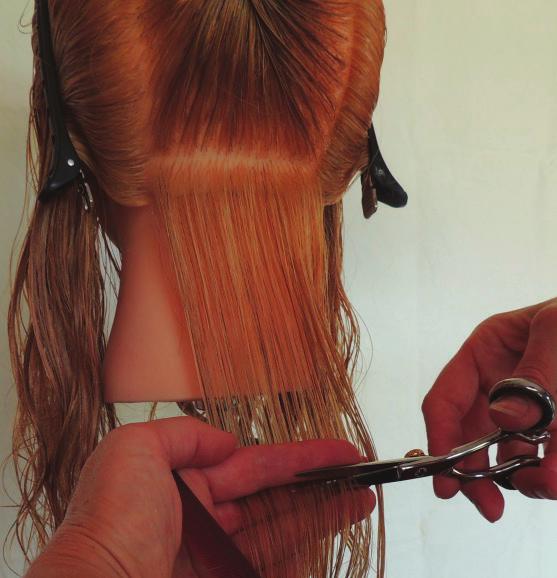 Year One: Unit Standard 28837 Cut hair to a pre-cut guide There is a theory and a practical part to this assessment. Assessment is demonstrated on a mannequin. A solid form cut is recommended.