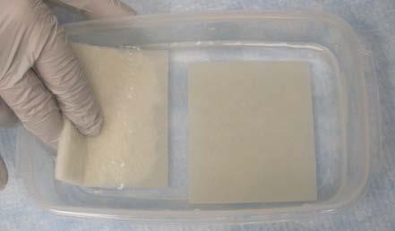 Leave the sponge pads in the container of 1X Transfer Buffer until you are ready to use them to assemble the blot sandwich. Note: Do not reuse 1X Transfer Buffer used to soak sponge pads.
