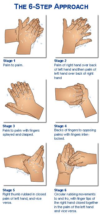 10 Hand Hygiene Technique A good hand hygiene technique should cover all areas of both hands using a systematic method (Refer to The 6 step approach).