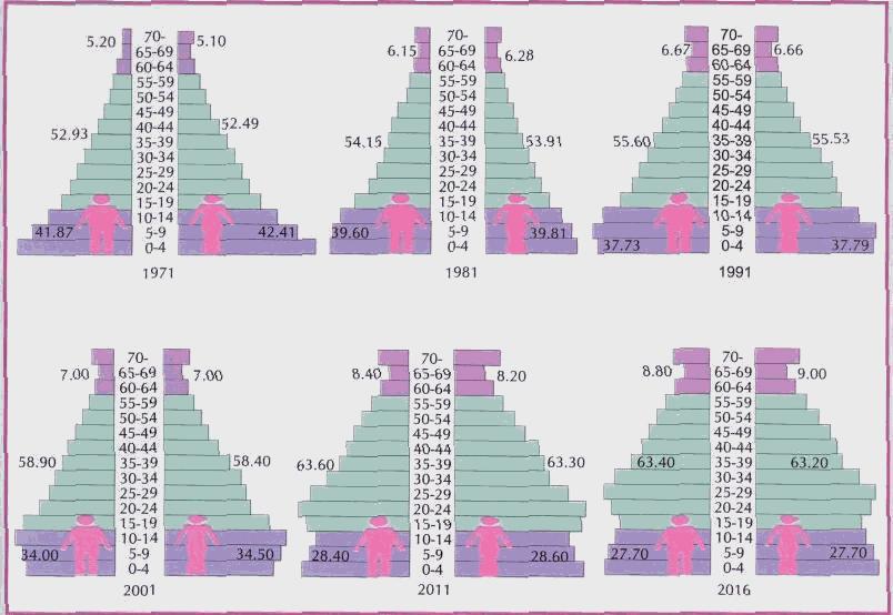 Changes in Population Pyramid-India (1971-2016) Source: Technical