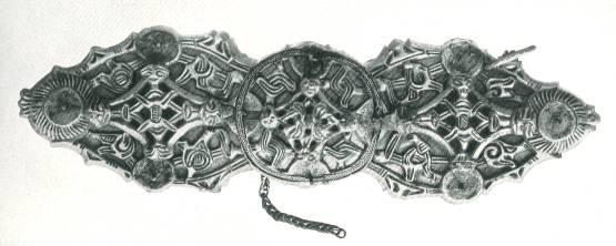 Women s Brooches A pair of tortoise brooches makes your outfit look Viking.