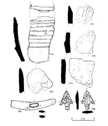 Figure 77: A Sutton type C, barbed and tanged arrowhead (no. 228) associated with a Cordoned Urn sherd (no. 214) from Moynagh Lough, Co. Meath, (after Bradley 1991, fig. 4, no.