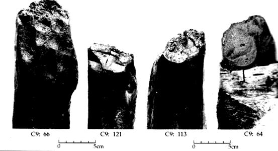 Figure 29: Timbers from Corlea 6 with stone blade cuts (above) and timbers cut using metal blades (below) (after O Sullivan 1996, figs. 409 and 433). Dalkey, Co.