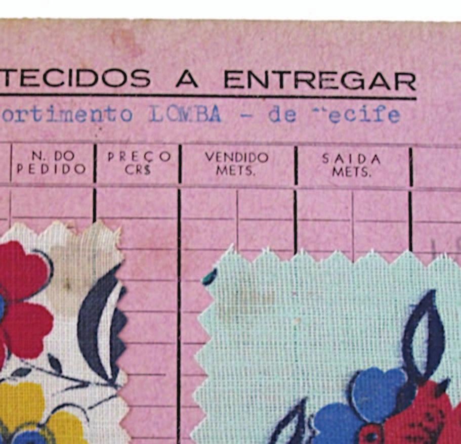 progress but also there was no artistic and industrial training which could have supported training schemes in Brazilian textile design.