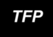 4. TFP and Technical Efficiency Estimates TFP estimates,