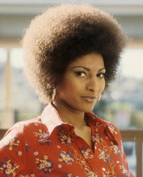 17. 1970S: PAM GRIER Pam Grier's brows followed a more natural