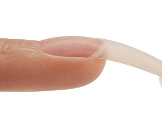 Match - The correct tip to the C-curve of the natural nail. b.