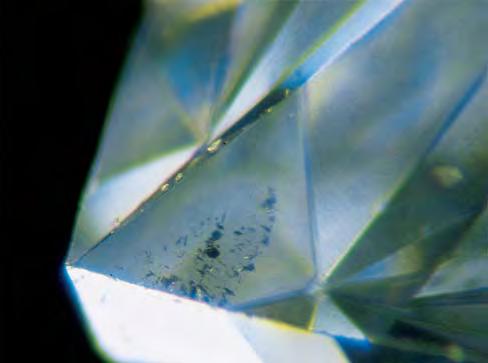 Figure 11. In 10 of the blue diamonds examined for inclusions in this study, we observed dark solid inclusions. On the left are several such inclusions in a 1.22 ct Fancy blue diamond.