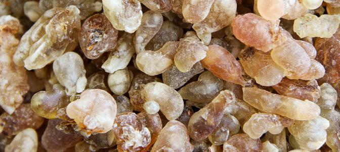 1. Frankincense Oil: It is believed that frankincense oil will transmit messages to the limbic system of the brain, which is known to influence the nervous system.