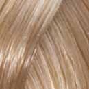 MID-SHAFT AND ENDS TC UT NL 10 light beige blonde pale yellow 8 golden blonde 30g 100P + 60g 40 Volume Cream