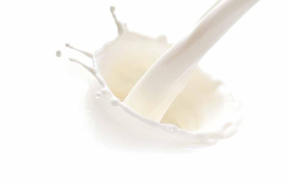 Almond Milk Cream Shampoo Conditioning and regenerating