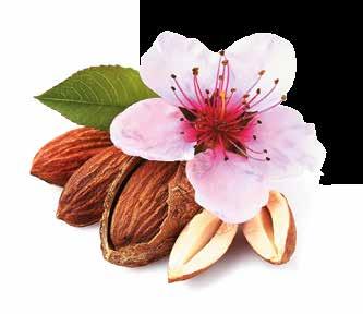 Hydrolyzed almond protein makes this shampoo suitable for