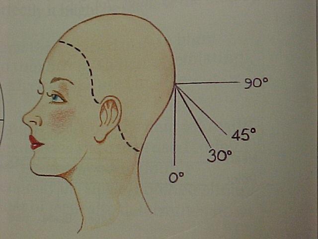 0 Angle Head should be perpendicular to the floor Hair