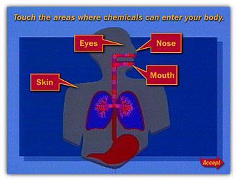 ROUTES OF ENTRY Exposure occurs when the toxic substance either comes in CONTACT with and/or ENTERS the body