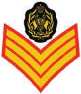 APPOINTMENT GOOD CONDUCT BADGES
