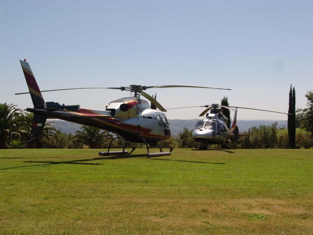 helicopter tours to give our