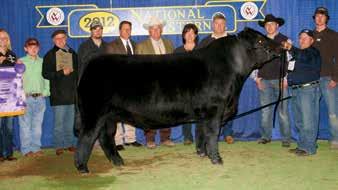 She has so much performance in her but still has that elegant look. With her outcross pedigree, her breeding options are endless. This one would make a whale of a bred!